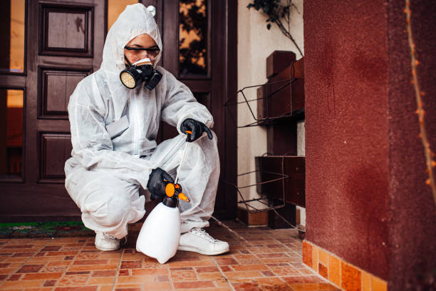 Reliable Wasp Removal contractor in Tompkinsville, KY by Show Me Pest Control